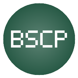 Burp Suite Certified Practitioner